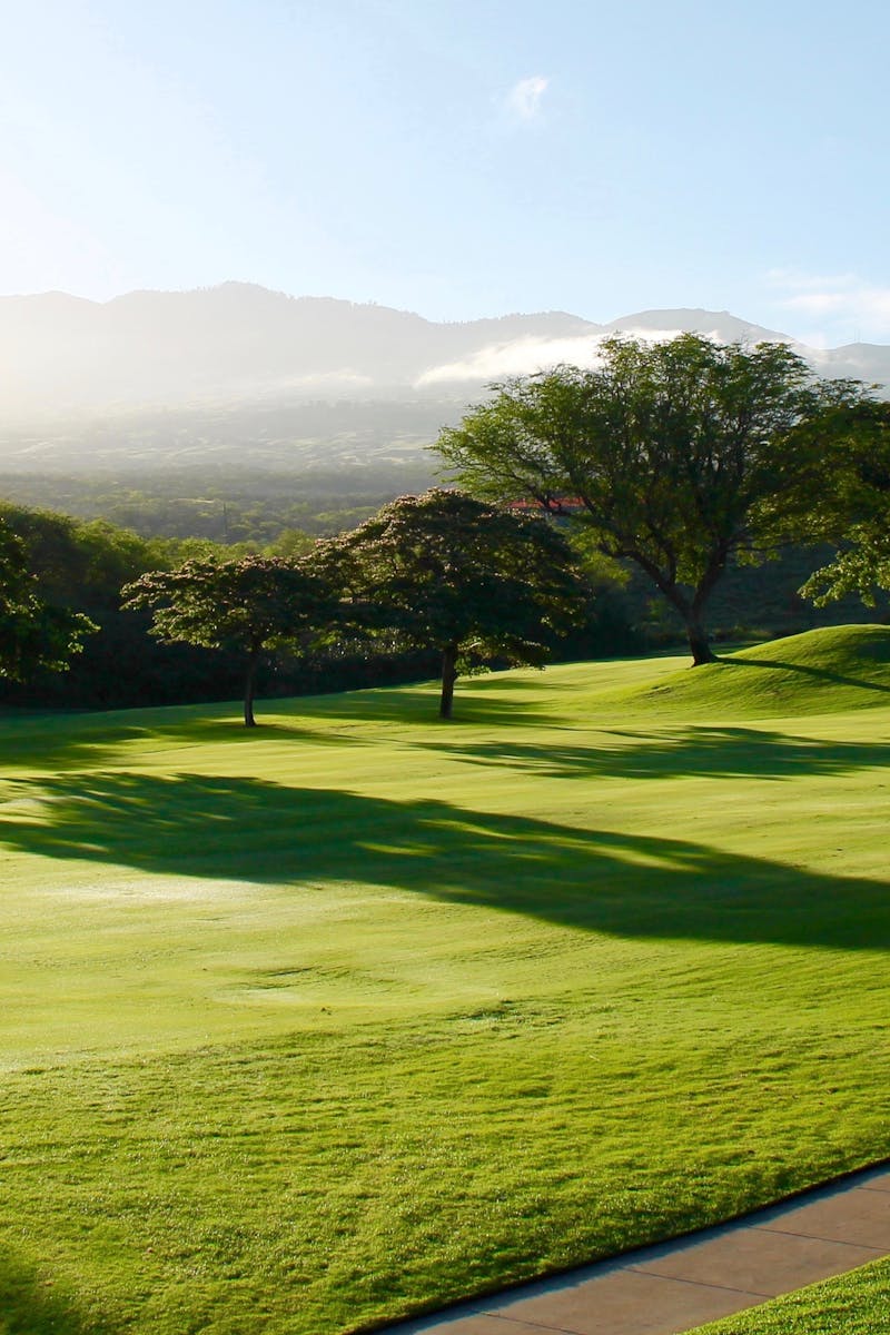 Serene view of a lush green golf course surrounded by trees and mountains, bathed in sunlight.